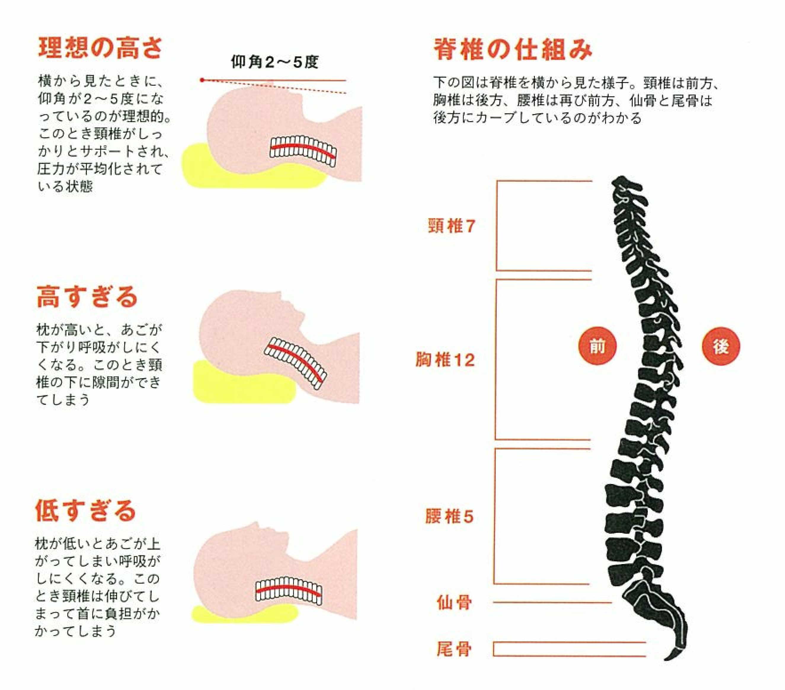 熟睡できる枕 高い枕 低い枕 不眠症の原因を解消しよう 快眠方法とその仕組を紹介します